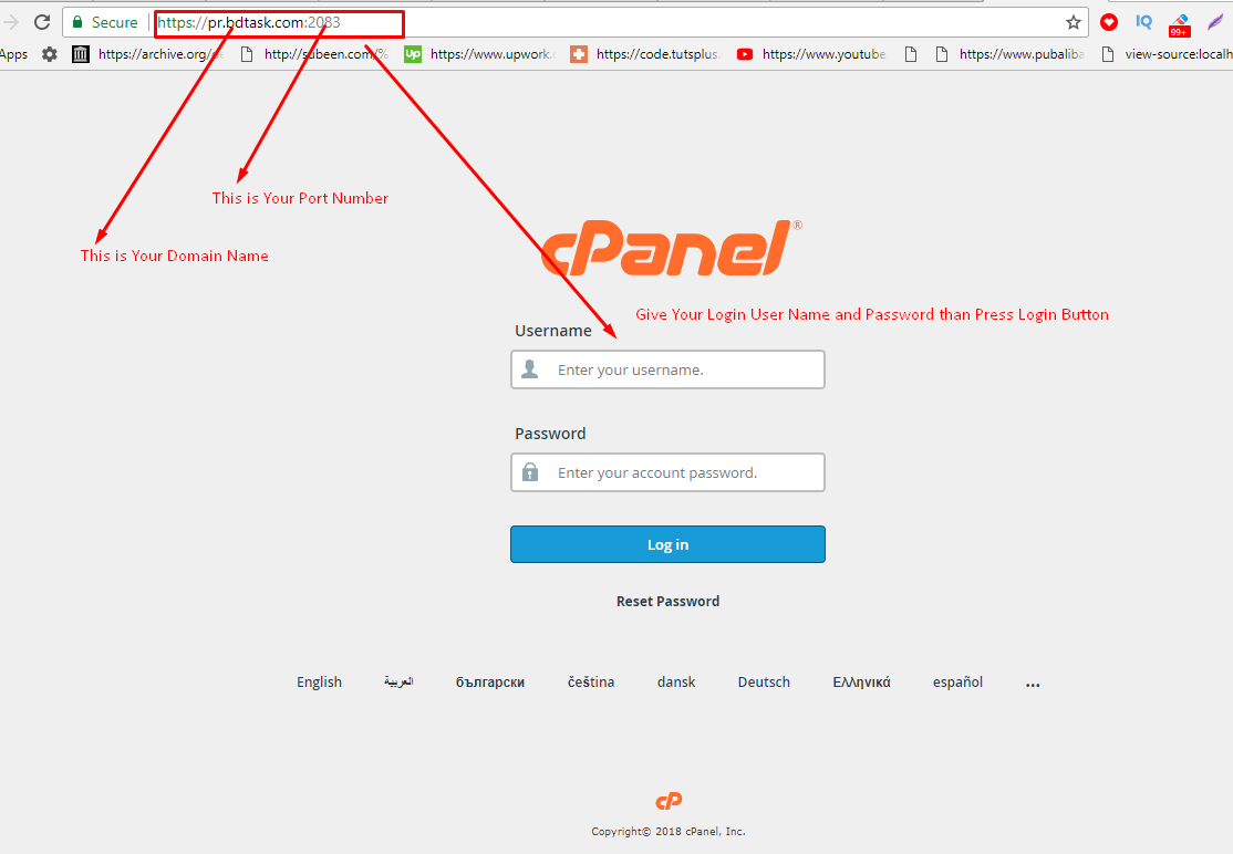 cpanel download one of my websites